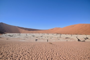 Namibia Dürre - Wüte - Fernsicht 