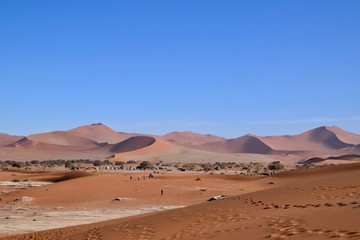 Fototapeta na wymiar Wüste - Namibia - Fernsicht 