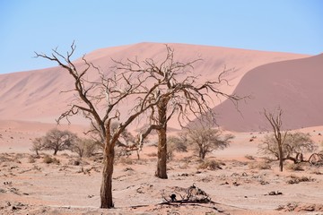 Fototapeta na wymiar Landschaft Namibia -Wüste