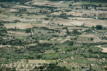 Fototapeta premium Felder und Plantagen bei Dorgali, Sardinien, Italien