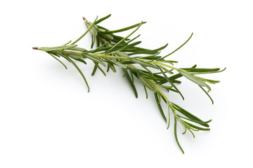 Fototapeta premium Rosemary isolated on white background, Top view.