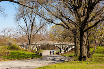 Central Park, New York Ciity © willbrasil