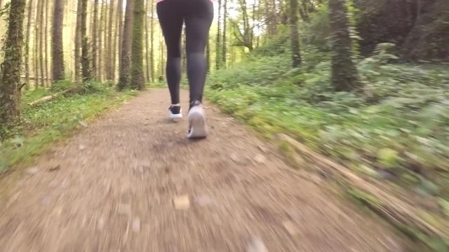 Tracking Shot Of Fit Woman Jogging On Forest Trail