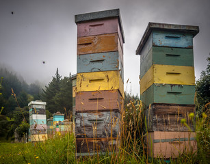 Colorful wooden Bee Hives