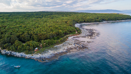 Obraz premium Coastline view from the drone, green forest and rocky coast