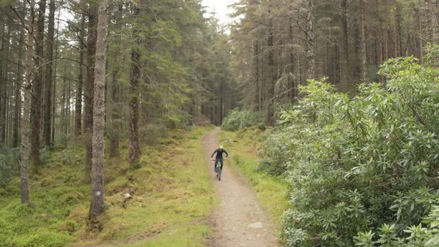 Tilt Up Aerial Drone Video Of Biker Cycling In Forest