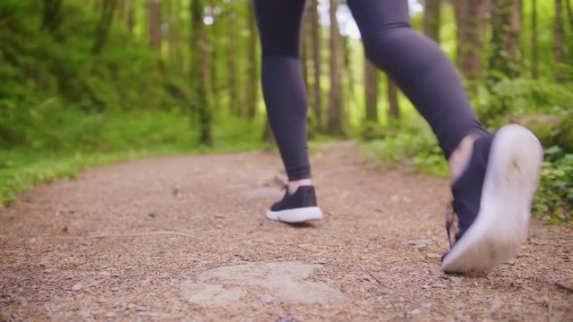 Fit Woman Tying Shoelace And Jogging At Forest Trail