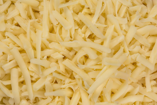 Shredded Mozzarella