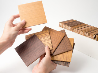 Samples of veneer wood on white background. interior design select material for idea.Hand holding...