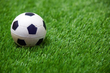 Fototapeta premium Soccer ball on a grass