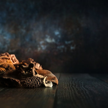 Dry Nature Still-Life