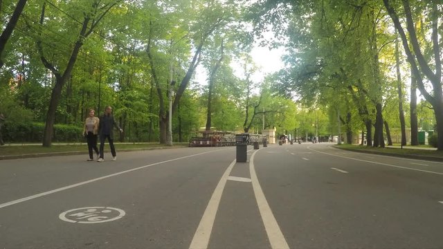 Bicycle Path In The Summer Park Timelapse