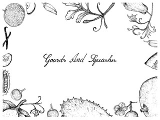 Hand Drawn of Gourd and Squash Fruits Frame - obrazy, fototapety, plakaty