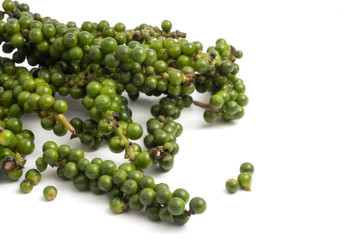 Green peppercorns on white background.