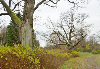 Obraz premium The natural landscape in autumn.