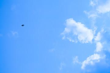 Sky with clouds