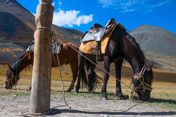 Hitching post