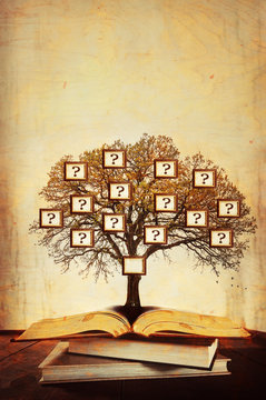 Family Tree, Genealogy.