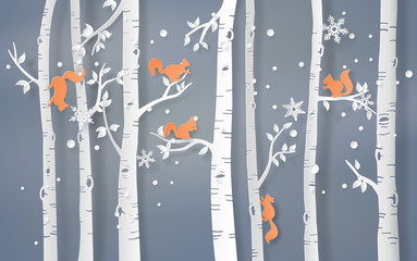 Winter Forest with Red Squirrels in Birch Trees © kengmerry
