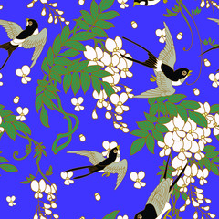 swallow