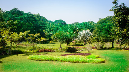 landscape photo in Theingottara Park, Yangon, Myanmar, Nov-2017