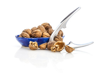 Isolated composition of healthy nuts, a nutcracker and a blue cup