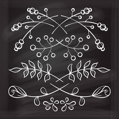 Set of elegant floral elements for your design on the chalkboard.
