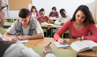 Fototapeta premium School pupils at the lesson in the school.
