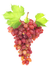 Ripe red grape.