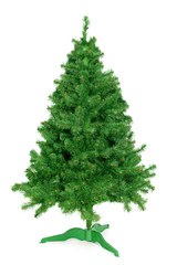 Christmas Tree isolated on white background