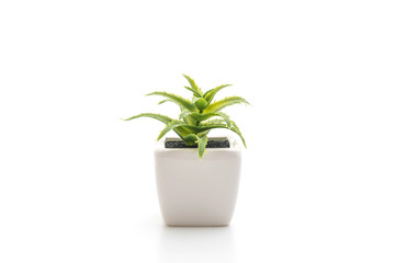 plastic plant in vase
