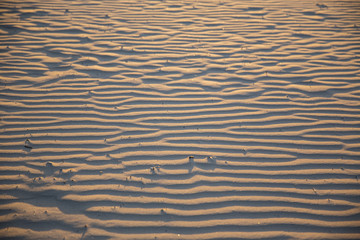 landscape, abstract, wave, texture, sea, beach, sand, yellow, travel, europe, latvia, baltic sea, 