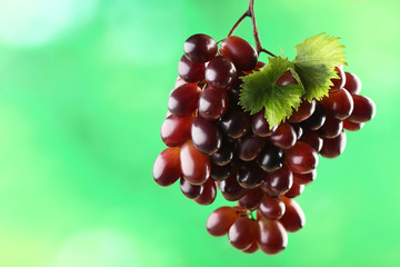 Sweet red grape on green background
