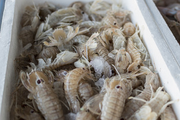 Fresh fish, shellfish, seafood in Cambrils Harbor Market, Catalonia, Spain.