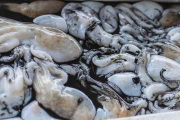 Fresh fish, shellfish, seafood in Cambrils Harbor Market, Catalonia, Spain.