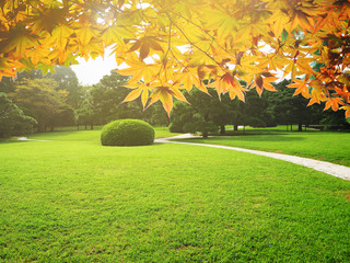 Autumn frame background of the greenery yard of Japanese garden