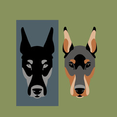 dog doberman face vector illustration flat style