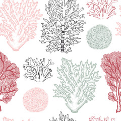 Naklejka premium Seamless pattern with hand drawn sea fans corals - gorgonia sketch. Vector background with underwater natural elements. Vintage sealife illustration.