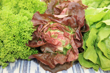 Fresh organic Lettuce on Farmers Market in Pollensa. Majorca 