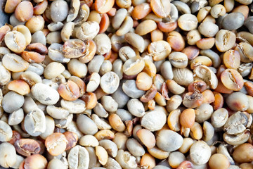 Coffee beans background