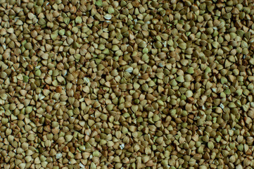 green buckwheat