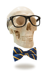 skull with glasses and bow tie, isolated