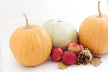 Pumpkins, apples and cinnamon on white background. Celebrations autumn concept .