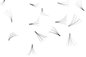 False eyelashes on white background