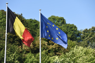 Drapeau Belgique europe CEE europeen election vote politique vert ecologie ecolo