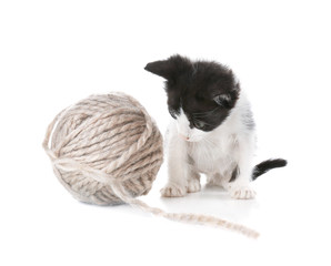 Cute funny baby kitten playing with ball of thread on white background