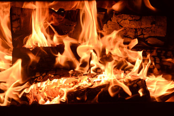 feu logement maison appartement renovation exposition foire Heisel Heizel palais feu bois brique beton demonstration foule urbanisme energie eau chauffage ecologie