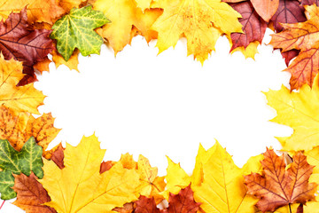 Naklejka na ściany i meble Beautiful frame made of autumn leaves on white background