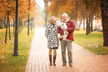 Elderly couple with cute dog in park on autumn day