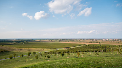 Countryside landscape